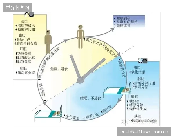 韩国队将利用科学手段管理球员生物钟,降低长途飞行对竞技状态的负面影响。 韩国队将利用科学手段管理球员生物钟,降低长途飞行对竞技状态的负面影响。